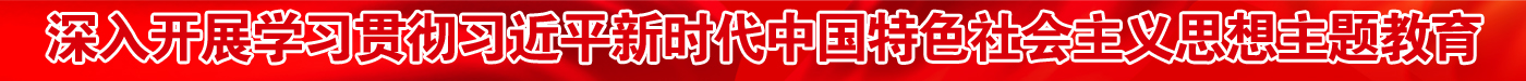深入开展学习贯彻习近平新时代中国特色社会主义思想主题教育