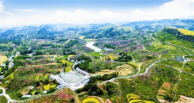 如何走出一条适合自己的供给侧改革道路,开江种植,加工油橄榄的企业和