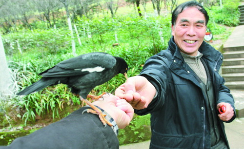 老秦和他的美女