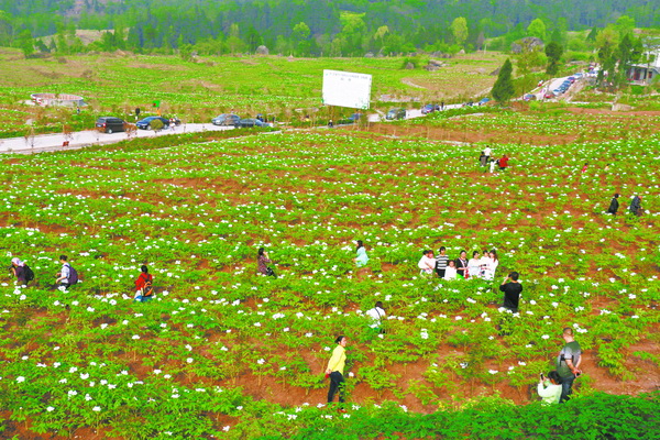 蒲家镇精准扶贫建设美丽幸福新农村