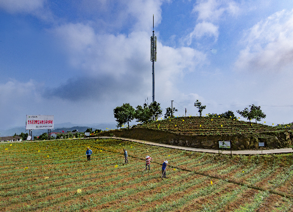 心同奋进 砥砺前行绽芳华--写在达州农商银行成