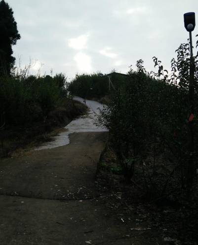 脱贫帮扶开辟了斑竹村的幸福路