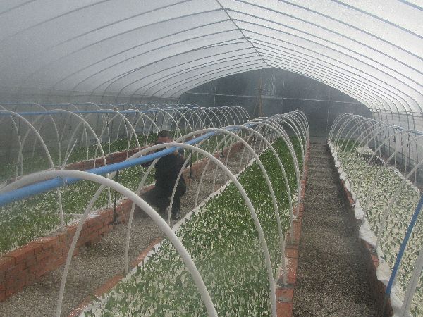 渡市镇以党建促脱贫攻坚