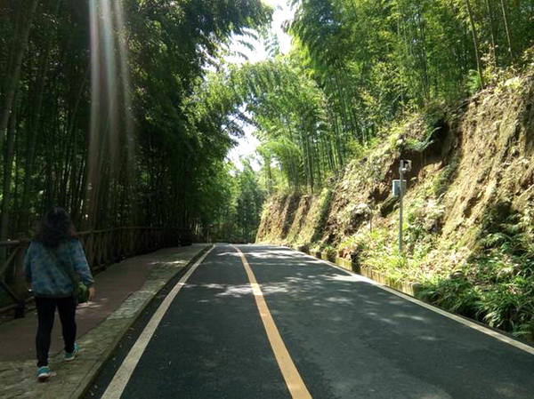 达州市竹产业将成为乡村振兴的新动能