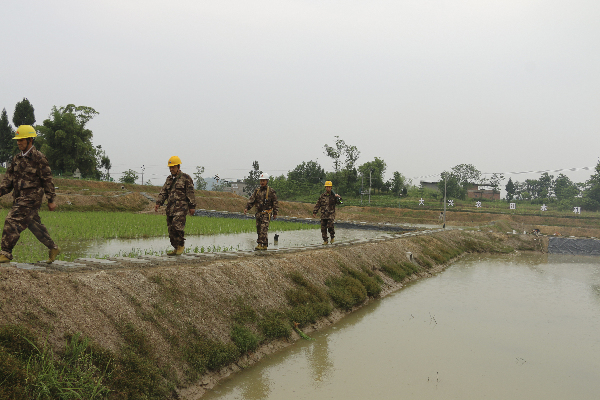 开江明月电力:为乡村振兴保驾护航
