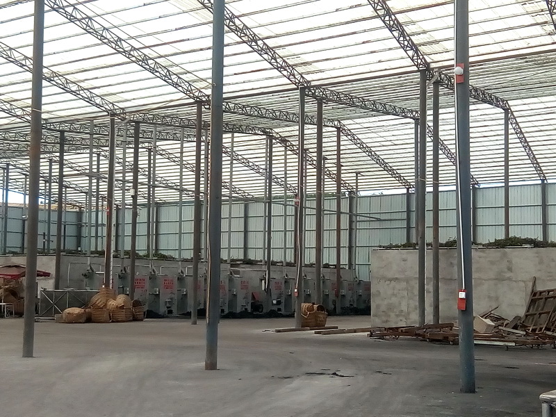 仲夏时节!小小花椒树,成就达州乡村振兴大产业