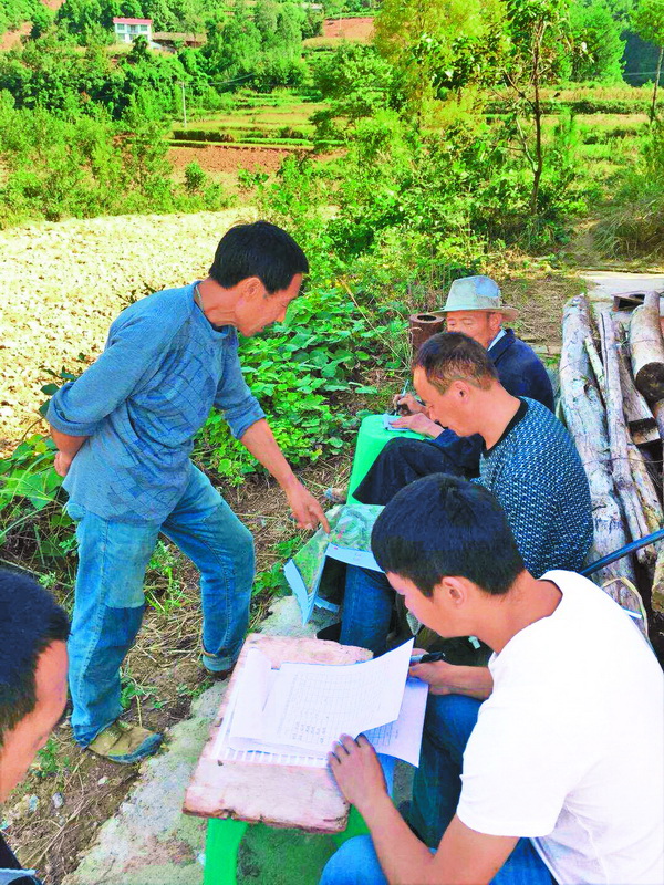 浙川东西部扶贫协作项目党员服务队工作纪实