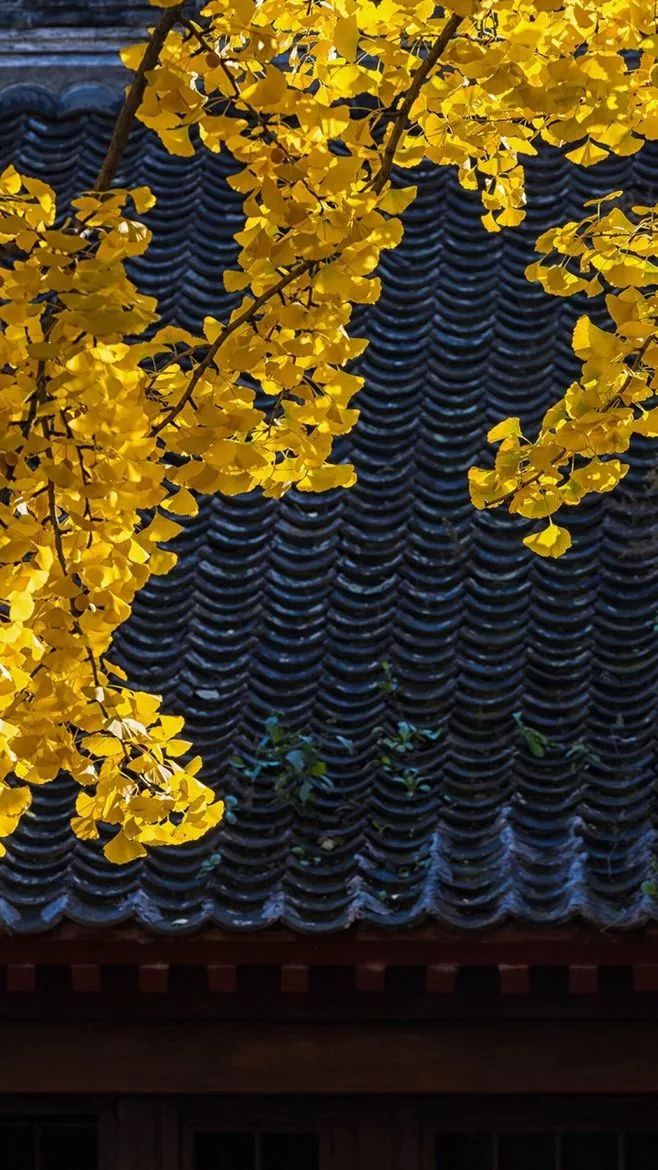 时间面前,一切终将释怀