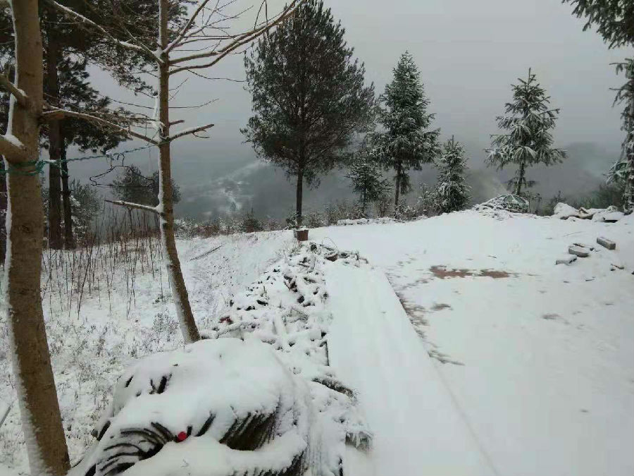 图为：秦河山上的雪景（1）.jpg
