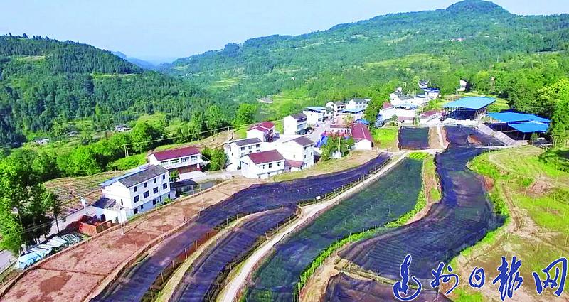 扶贫先扶志 致富先治心!脱贫攻坚碑庙模式出