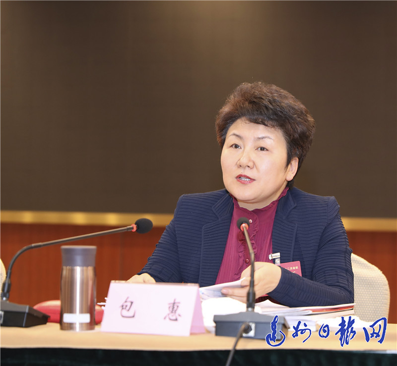 达州代表团审议政府工作报告