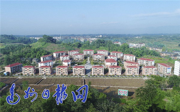 2019年,达州乡村振兴这么干