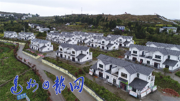 2019年,达州乡村振兴这么干