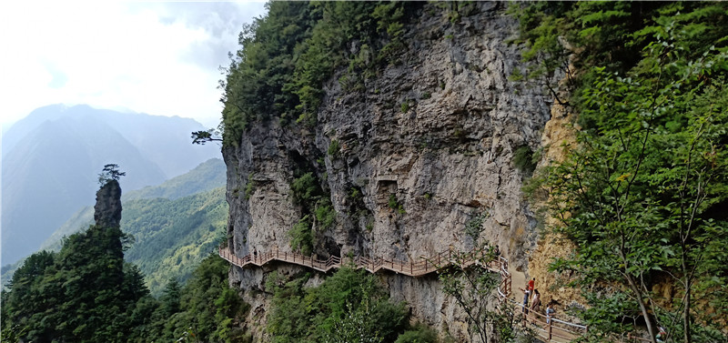 万源八台山独秀峰栈道 徐春红 摄