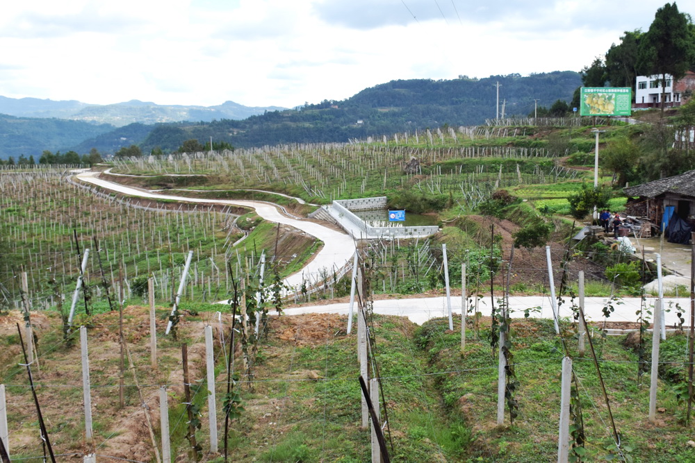通川区gdp_通川区 达川区地图