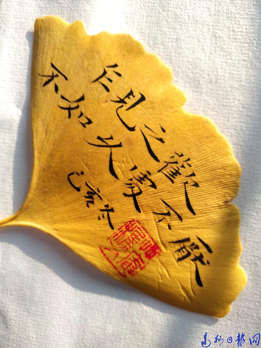 银杏叶上的作品