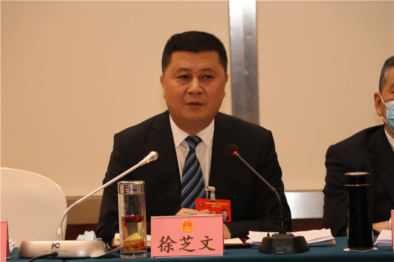 徐芝文参加市四届人大五次会议通川区代表团审议