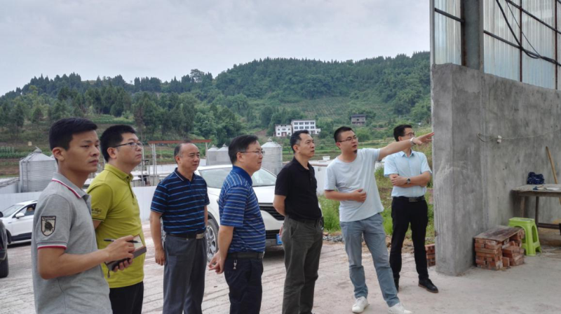 丽天牧业麻柳镇潘家湾村育肥猪场粪污处理设施——异位发酵床