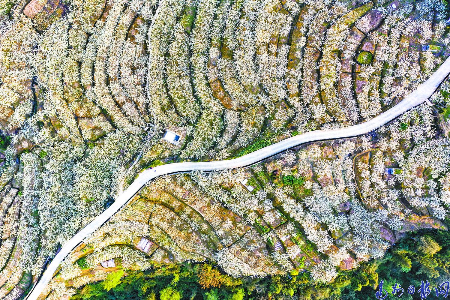 朝阳区外来人口最多村_疫情下的北京朝阳区石各庄村 只进不出 多外来务工人(2)