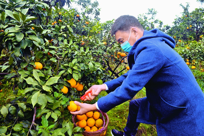  大竹县积极引导传统农业向休闲观光农业