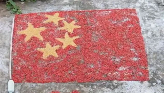  小伙用5万个辣椒、30万颗玉米粒拼五星红旗迎国庆