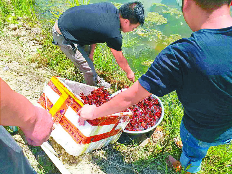  “三种模式”壮大高新区集体经济