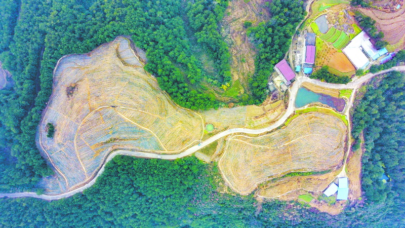  通川：在奋进中绘就乡村振兴新画卷