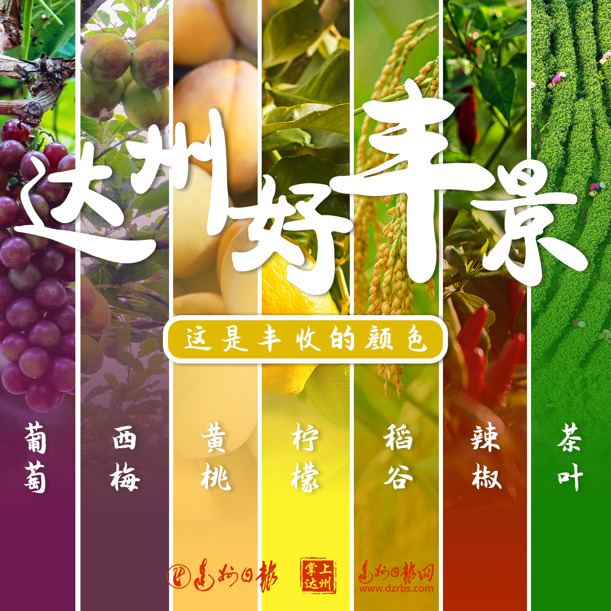  看！达州一片好“丰”景~