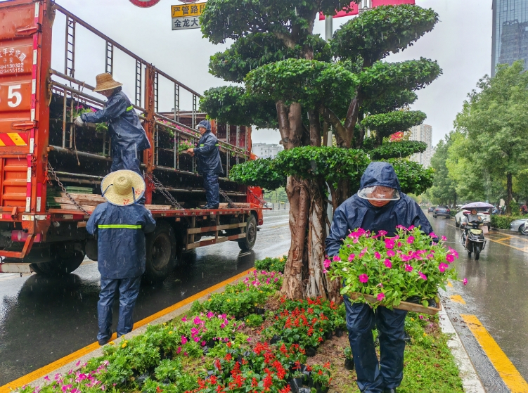  30余万盆鲜花“靓”达城！五彩缤纷迎双节