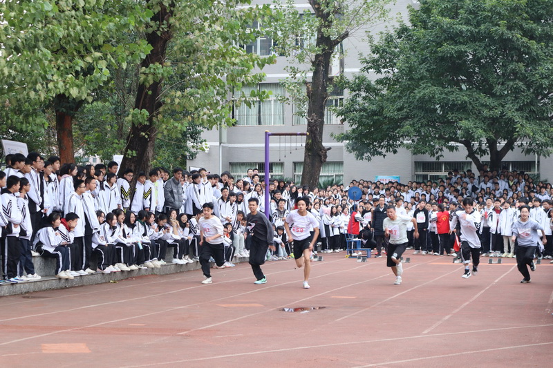  通川区实验小学玩转七彩数学 感受数学魅力