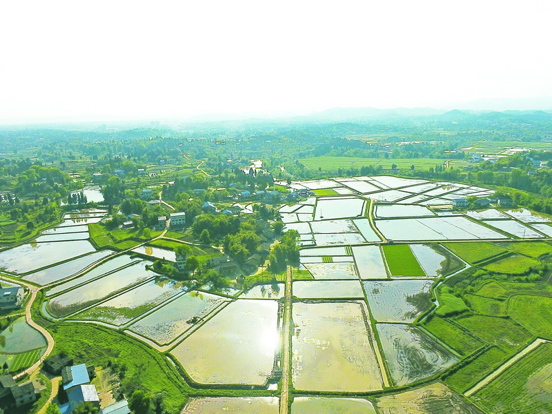 渠县宝城镇新民村率先建成高标准农田