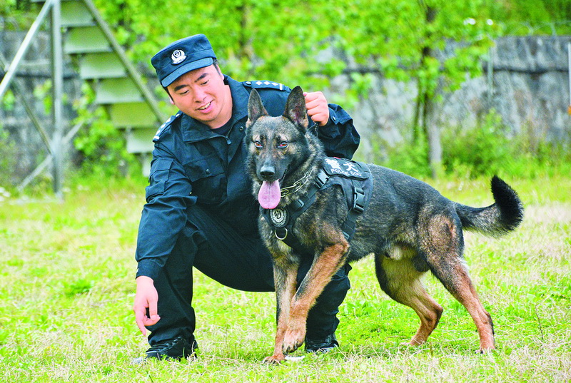  达州市公安局刑侦支队警犬训导员与警犬的故事