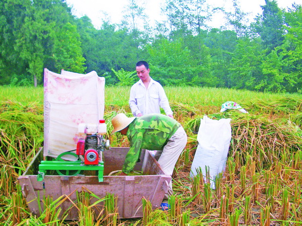 农产品制作过程放网上 渠县小伙一年销售额达