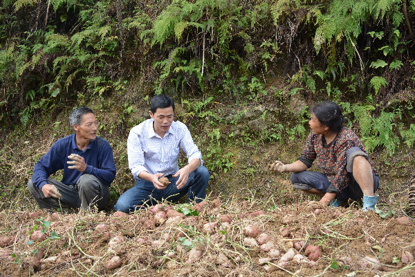 达川区亭子镇长艾村党支部第一书记郑家伟的