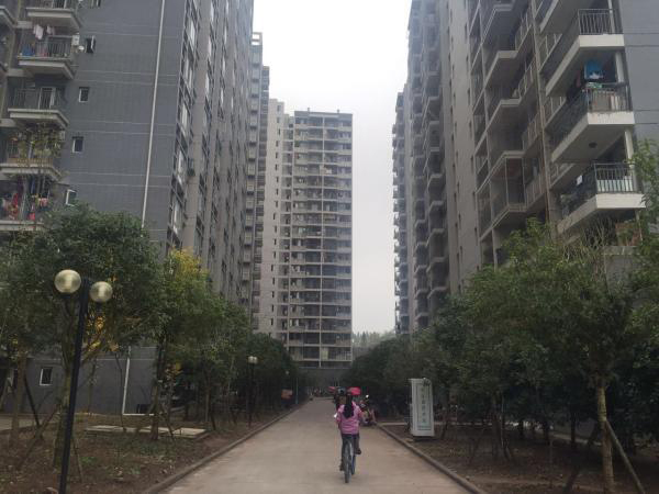 渠县人口普查表_渠县扎实推进第六次全国人口普查工作(2)