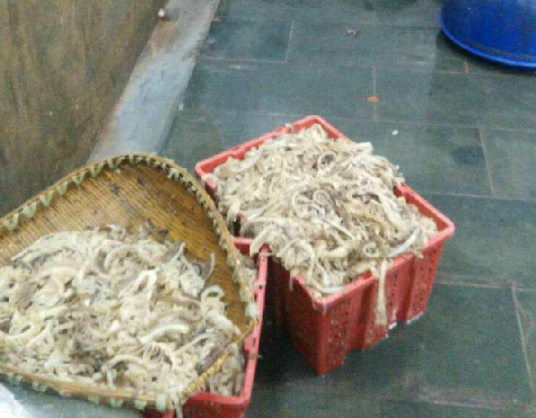 在朝阳农贸市场销售无证毛肚 一水产品经营部