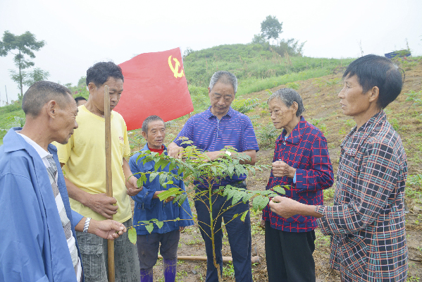 大竹县易地扶贫搬迁工作速写 - 达州日报网