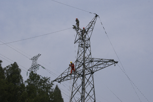 牢记国企使命 奉献一片光明--达州电力集团有限