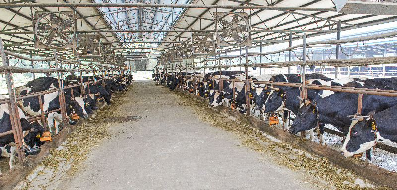 写透农字文章 收获遍地金黄