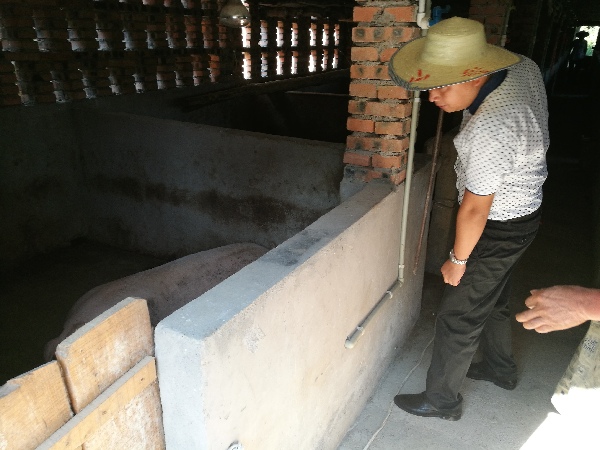 木头乡以农业为切入点发展农村经济