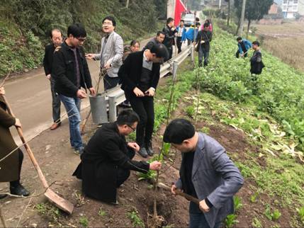 3月13日,开江县广福镇开展义务植树活动,镇机关干部职工,镇少先队员