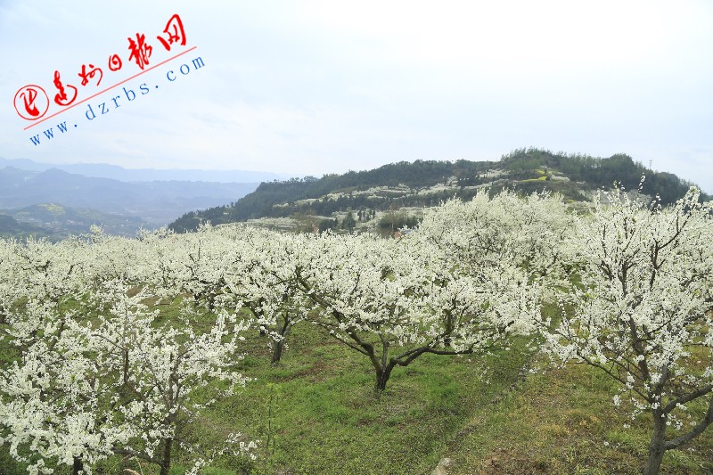 春分过后气温渐暖 达州晴歌不断