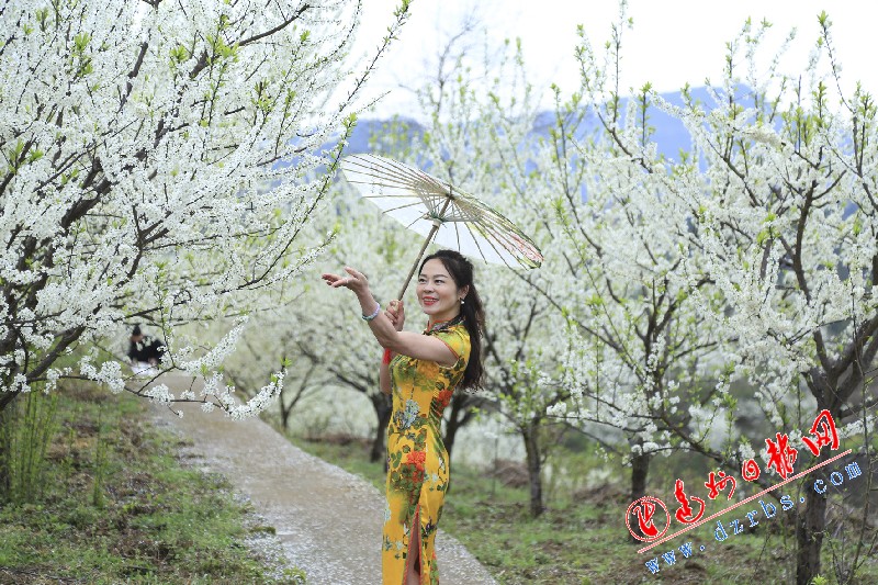 春分过后气温渐暖 达州晴歌不断