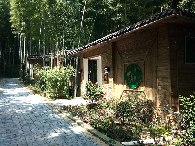 宣汉县大力开展森林康养宣传活动 使森林康养