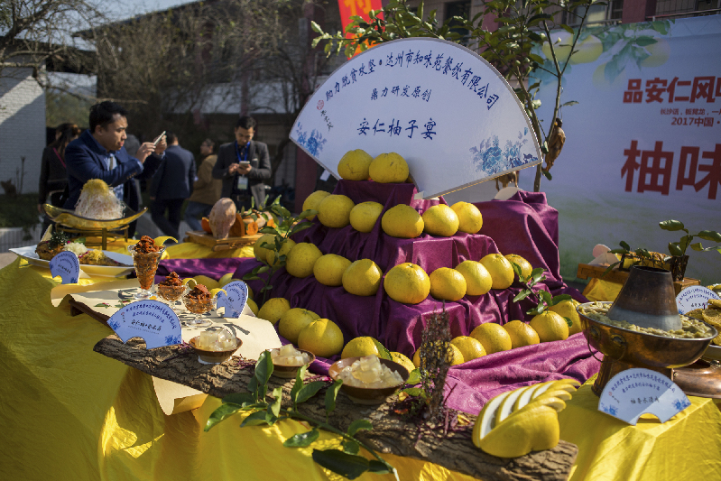 传播党的声音 画出最大最美社会同心圆