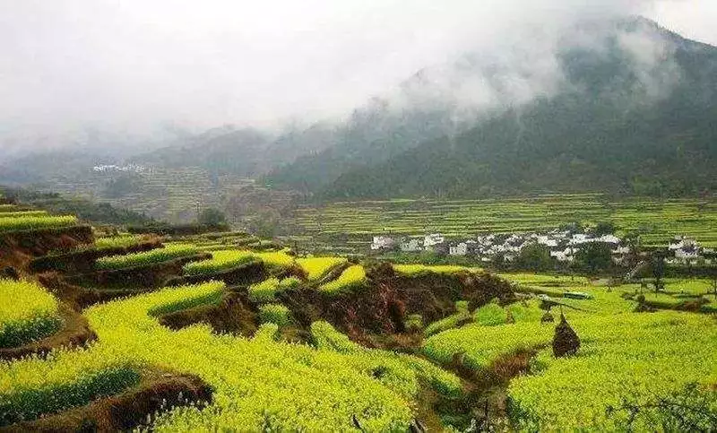 达州一区两乡镇入选四川乡村振兴规划试点,看